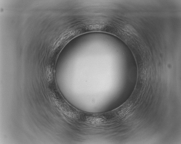 X0000057060743200509231531