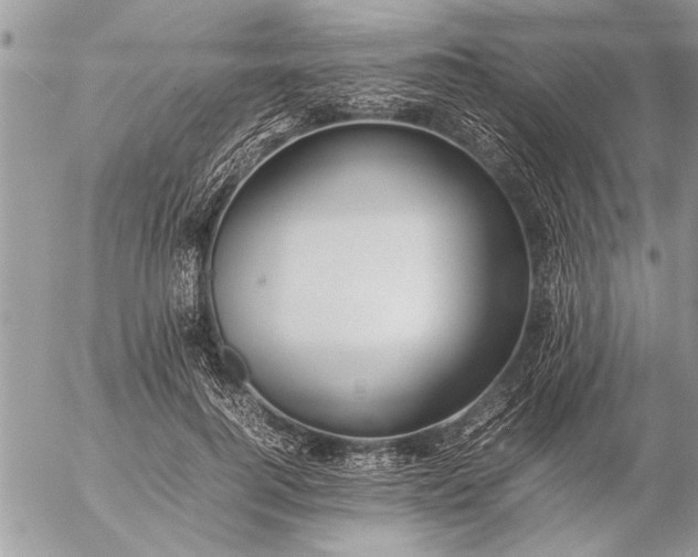 X0000057060744200509231531