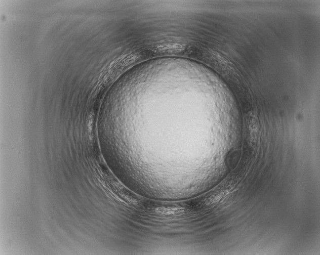 X0000057060745200509231531