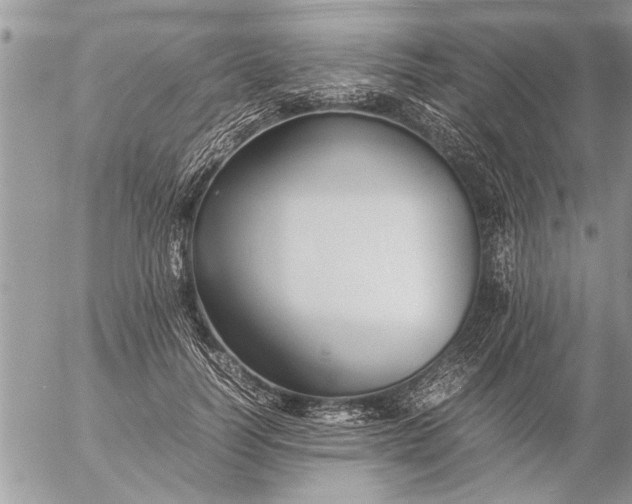 X0000057060746200509231532