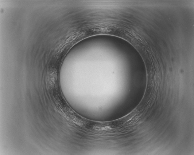 X0000057060747200509231532