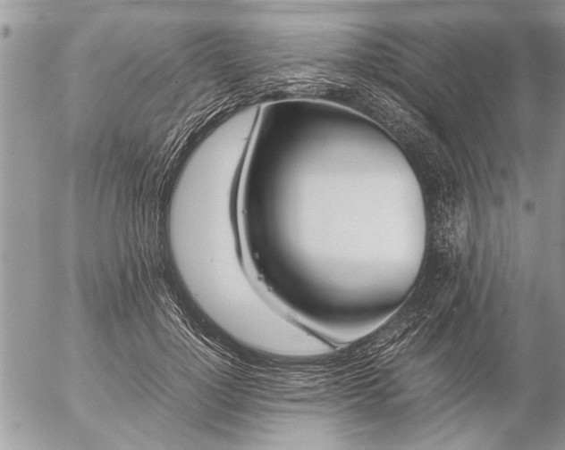 X0000057060748200509231532