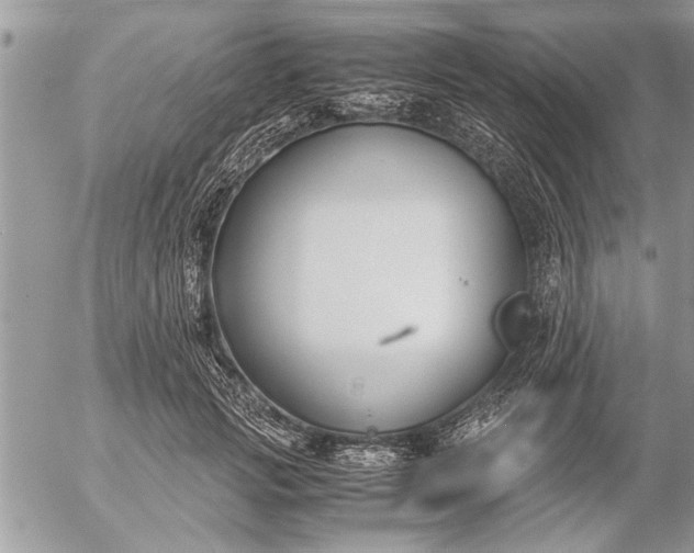 X0000057060749200509231532