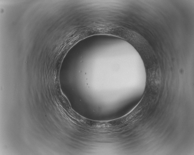 X0000057060752200509231532