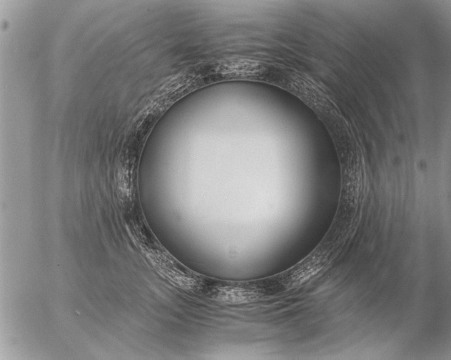 X0000057060755200509231532