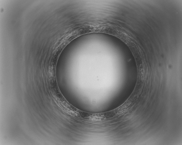 X0000057060756200509231532