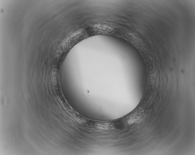 X0000057060757200509231532