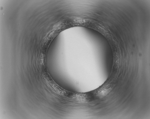 X0000057060758200509231532