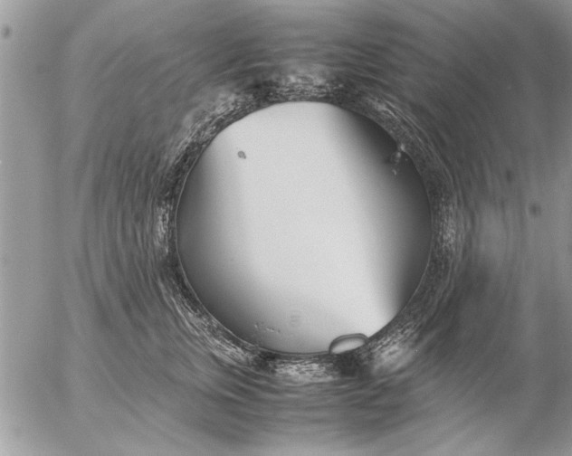 X0000057060759200509231532