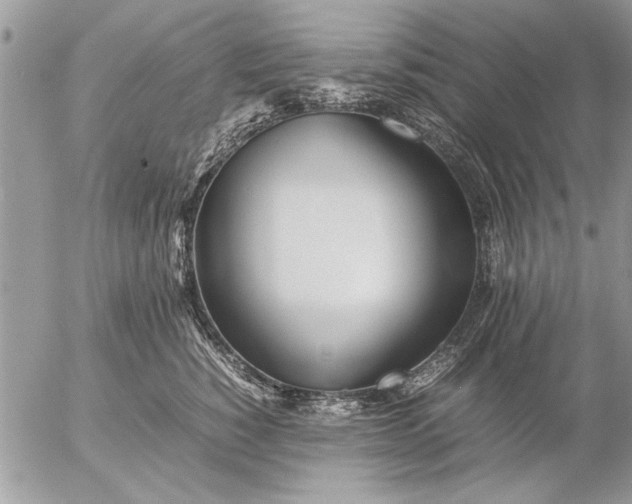 X0000057060760200509231532