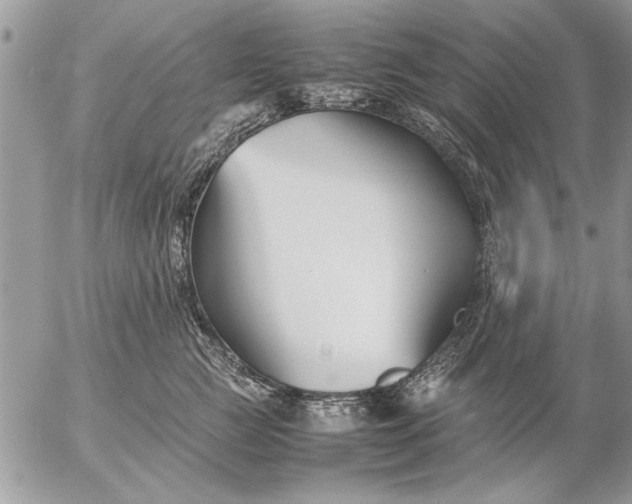 X0000057060761200509231532