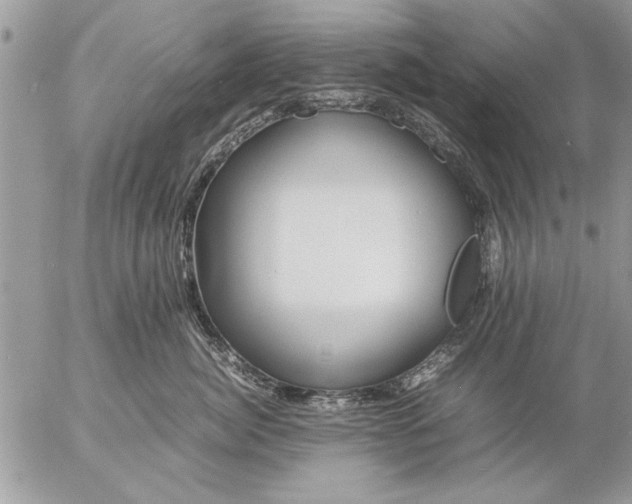 X0000057060764200509231532