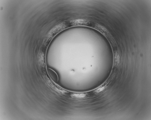 X0000057060765200509231532