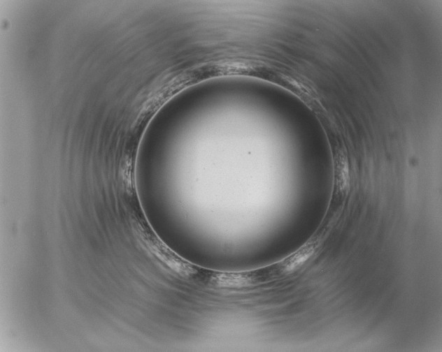 X0000057060766200509231532