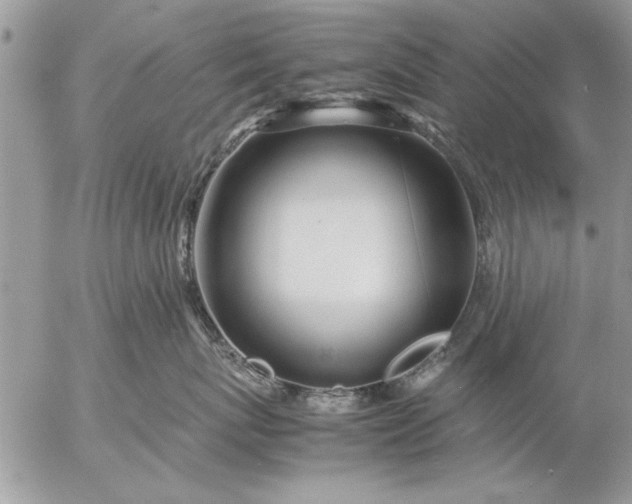 X0000057060767200509231532