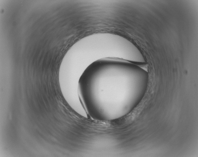 X0000057060768200509231532