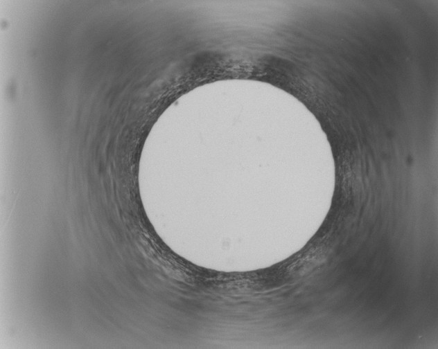 X0000057060769200509231531