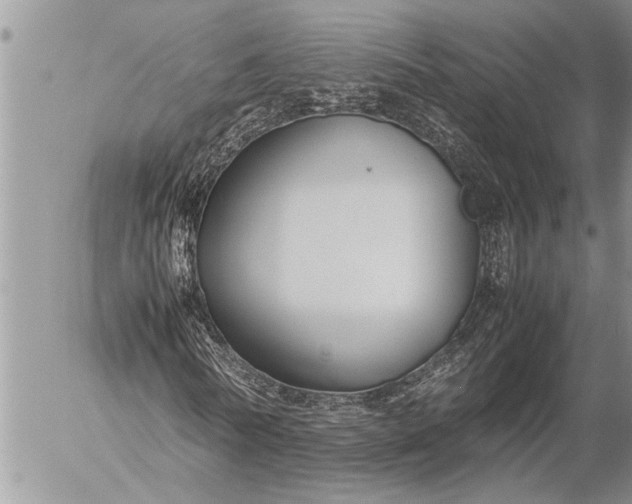 X0000057060770200509231531