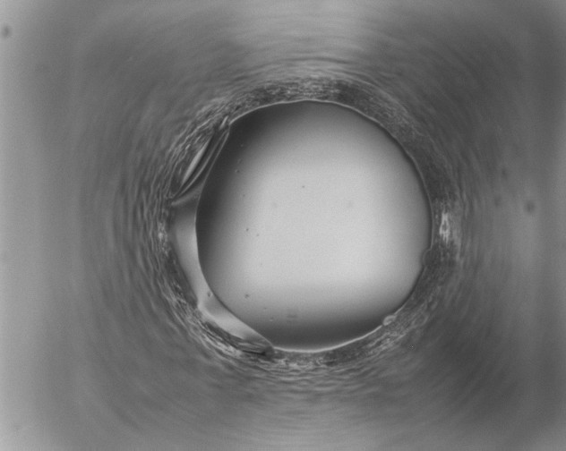 X0000057060771200509231531