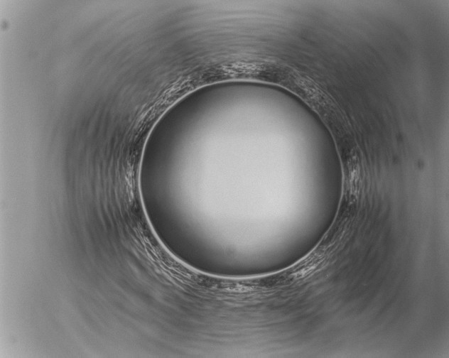 X0000057060772200509231531