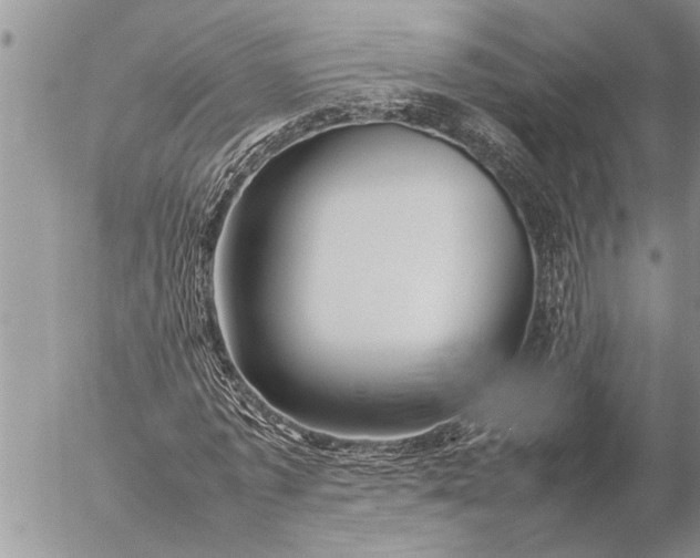 X0000057060773200509231531