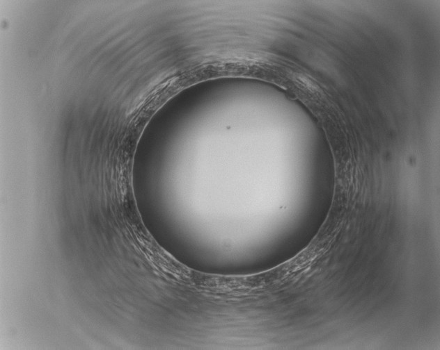 X0000057060774200509231531