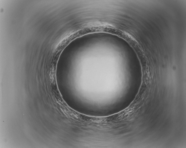 X0000057060775200509231531