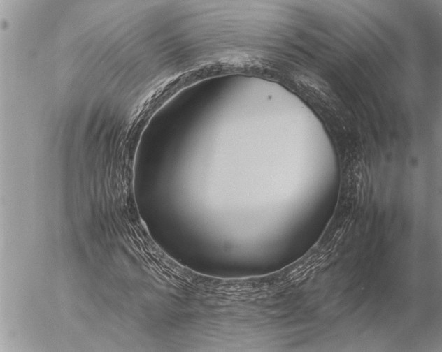 X0000057060776200509231531