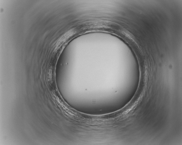 X0000057060777200509231531