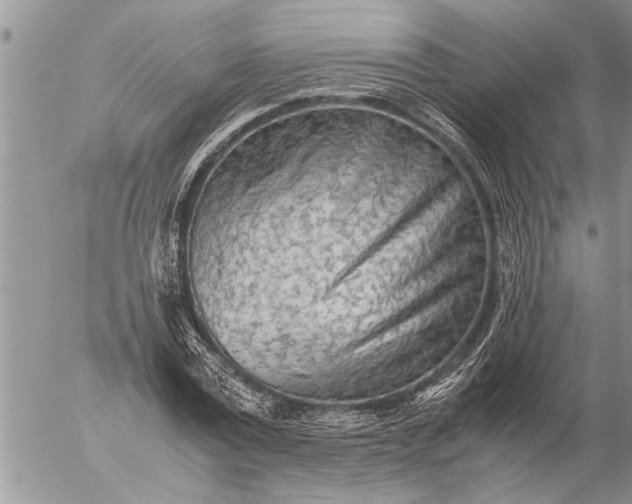 X0000057060779200509231531