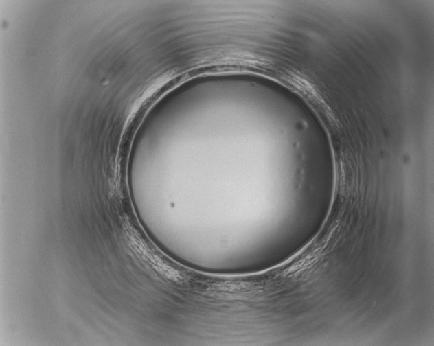 X0000057060780200509231531