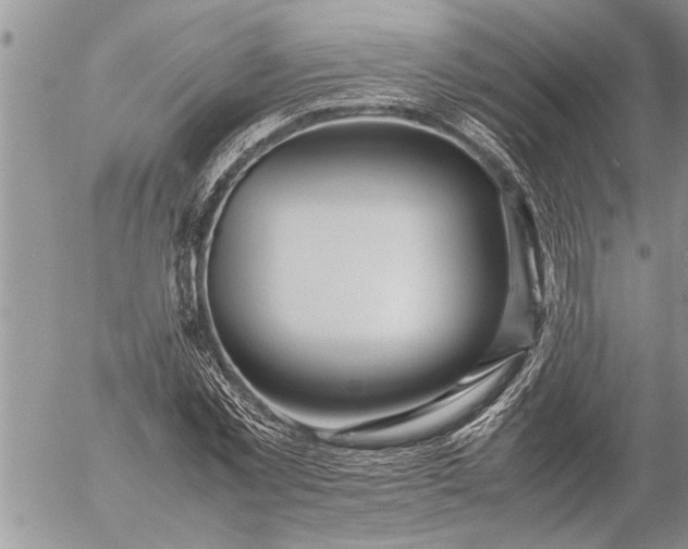 X0000057060781200509231531