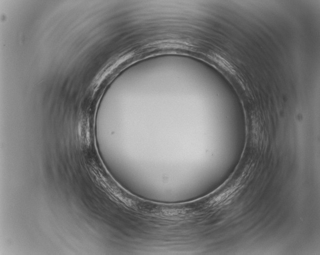 X0000057060782200509231531