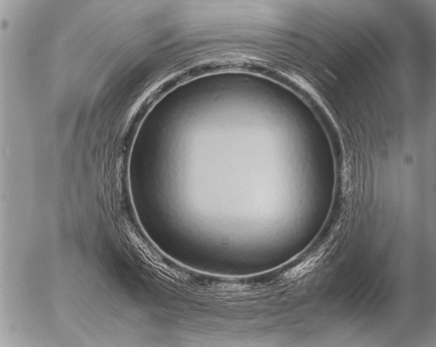 X0000057060783200509231531