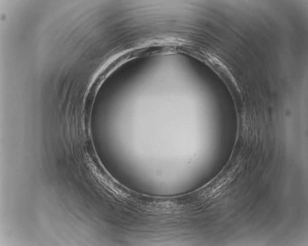 X0000057060784200509231531