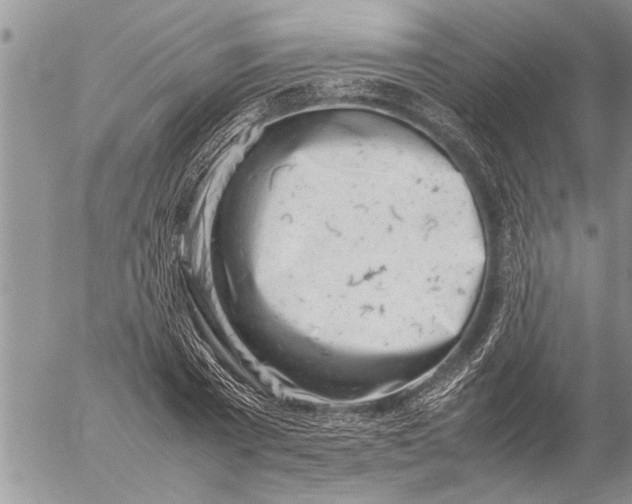 X0000057060785200509231531