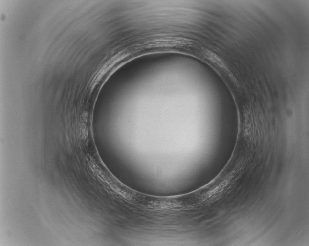 X0000057060786200509231531