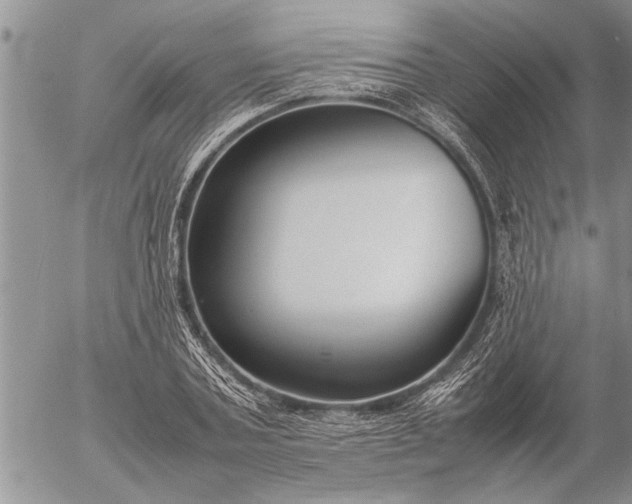 X0000057060787200509231531