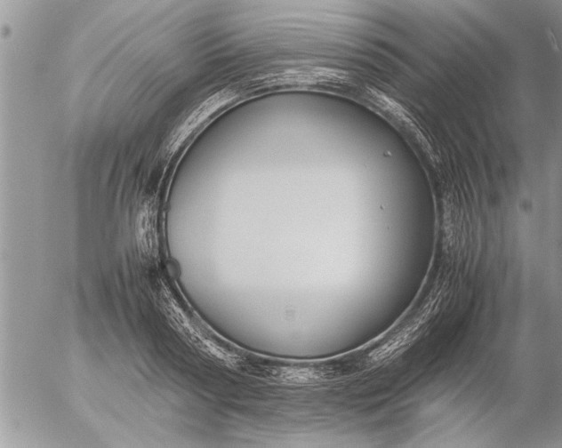 X0000057060794200509231531