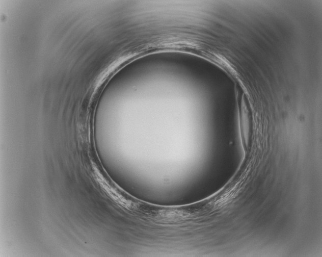 X0000057060795200509231531