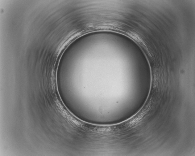 X0000057060798200509231531