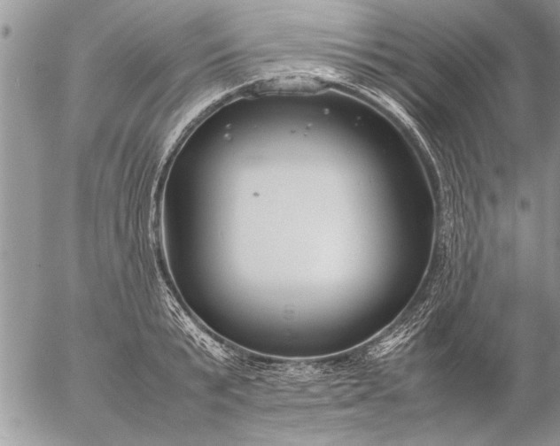 X0000057060799200509231531