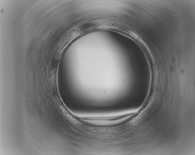 X0000057060801200509231531