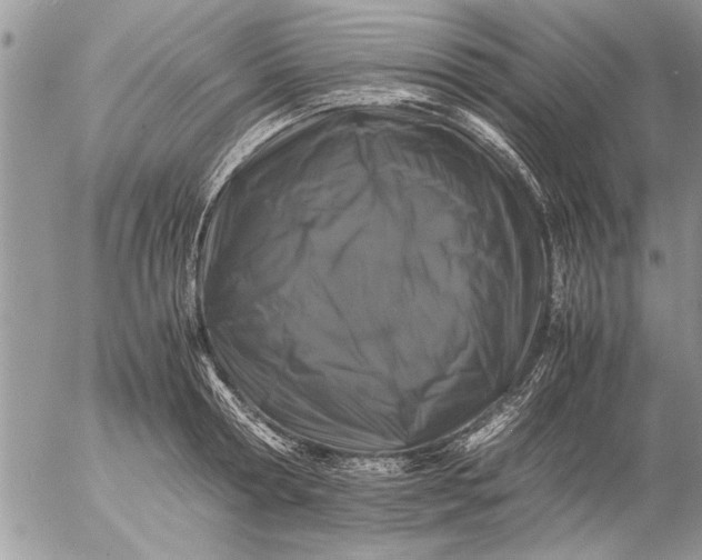 X0000057060802200509231531