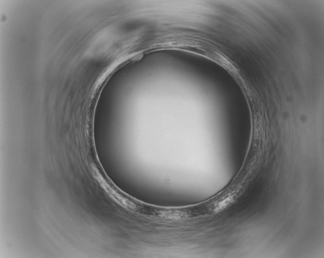 X0000057060803200509231531