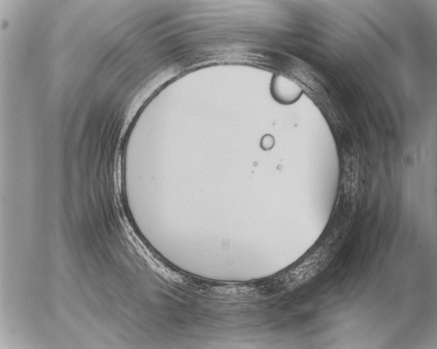 X0000057060804200509231530