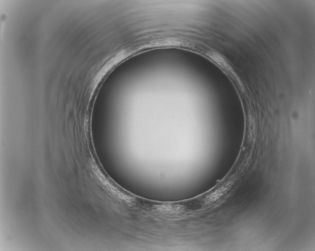 X0000057060805200509231530