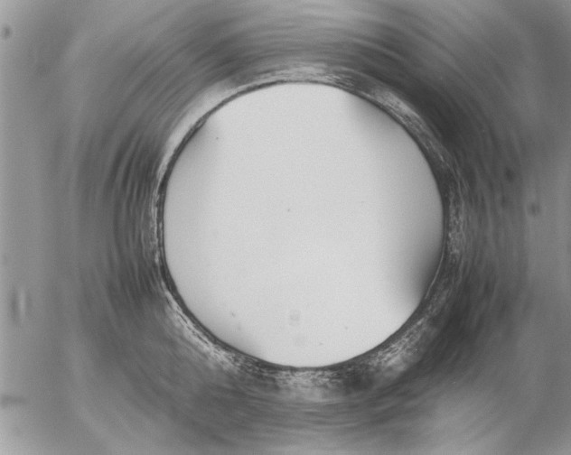 X0000057060808200509231530