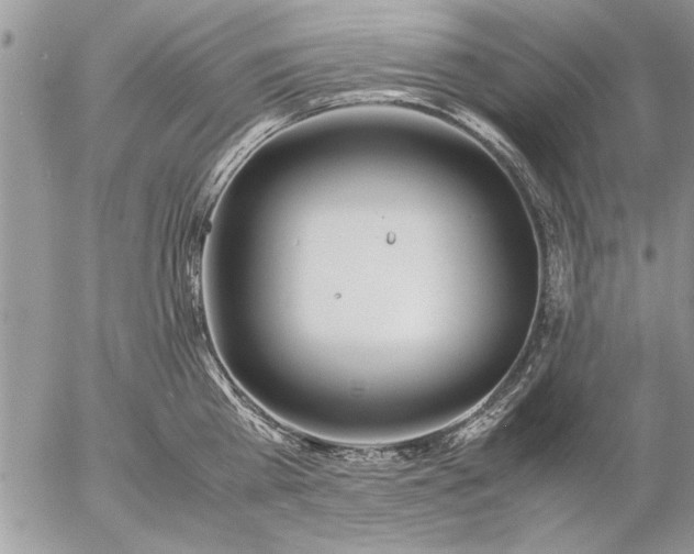 X0000057060809200509231530