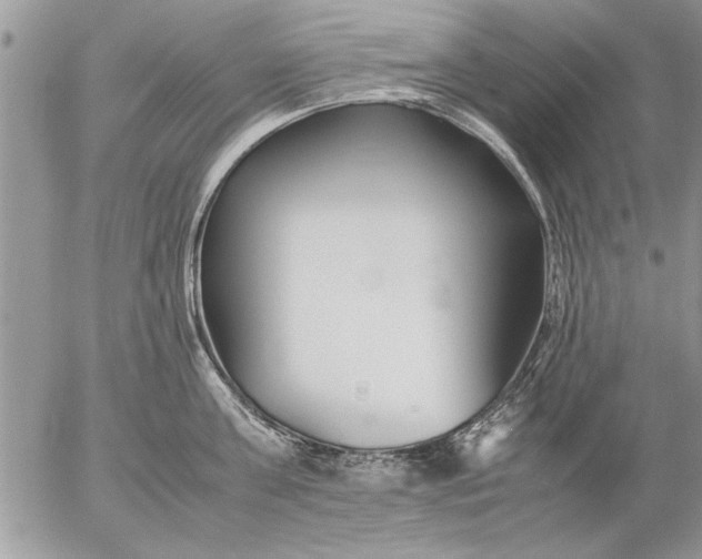 X0000057060811200509231530